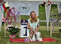Fantastic weekend in Plunge, National dog shows